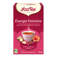 YOGI TEA Tis ayurv&eacute;di &eacute;nerg F bio 17Sach/1,8g