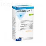 ANDROBIANE PROTECT CAPS 60