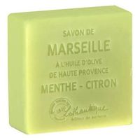 LOTHANTIQUE SAV MARSEILLE CITR MENT 100G