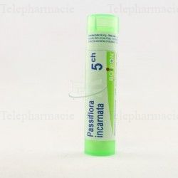 PASSIFLORA INCARNATA