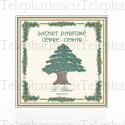 SACHET PARFUME CEDRE DE GRAS