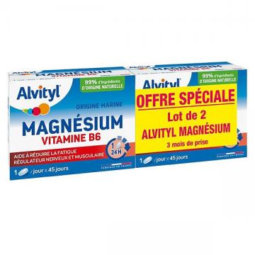 ALVITYL - Magnésium vitamine B6 lot de 2 x 45 comprimés
