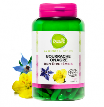 PHARMASCIENCE - Bourrache onagre bio 120 capsules