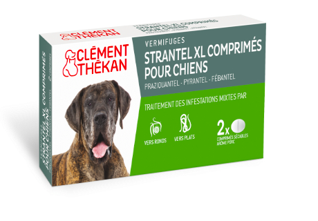 STRANTEL - Cl&eacute;ment th&eacute;kan strantel vermifuge chien XL - 2 comprim&eacute;s